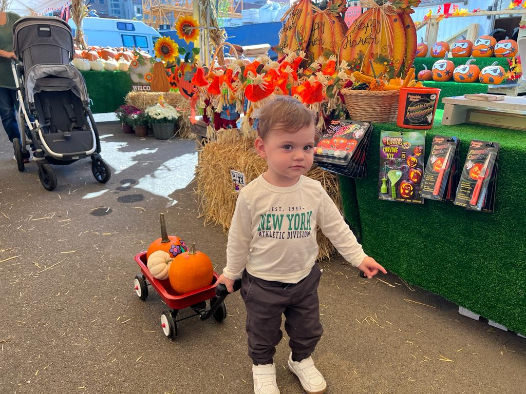 Greg's Pumpkin Patch 1